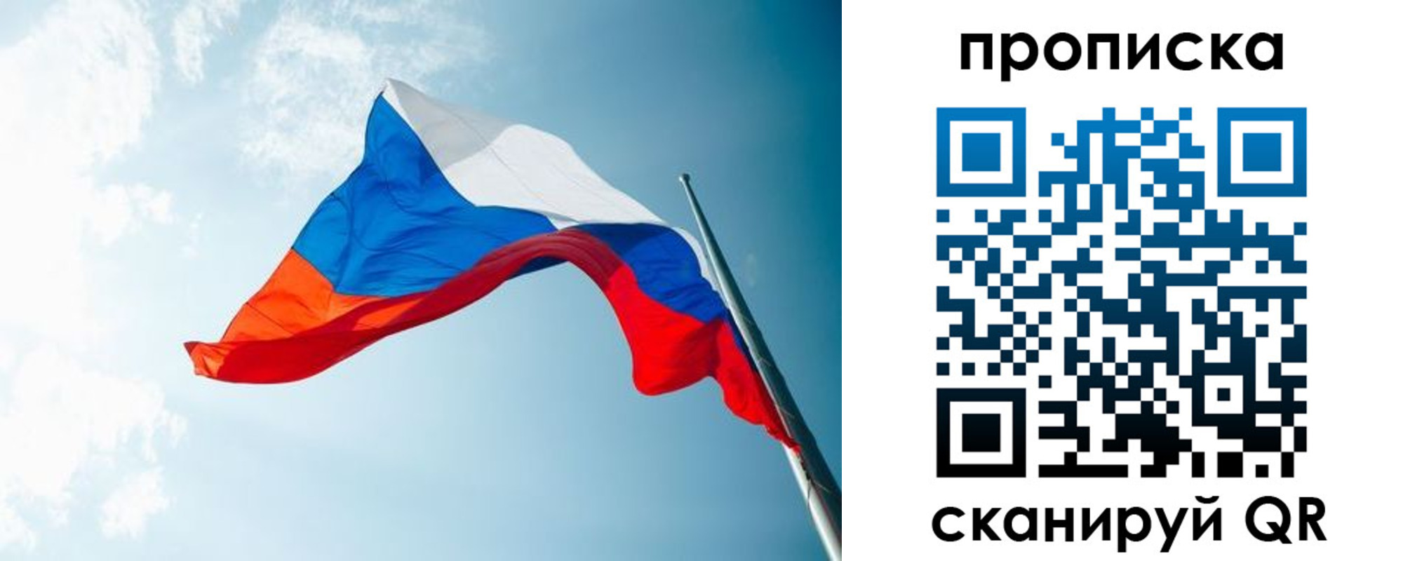 найти адрес прописки в Солнечногорске